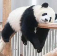 家里顽固污渍总洗不掉？试试火了百年的奶奶的秘密
